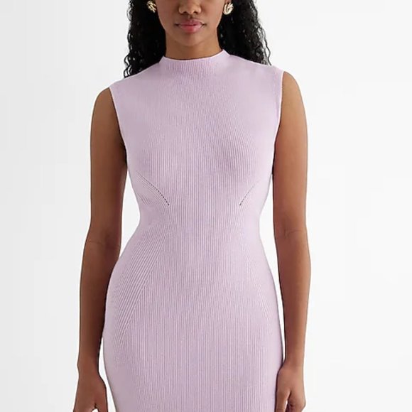 Express Dresses & Skirts - NWOT Express Ribbed Sweater Dress - US Large (never worn)